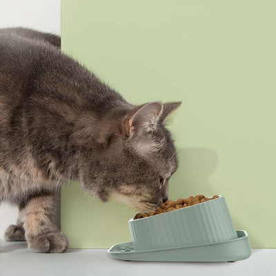 Pet Ceramic Eating Bowl